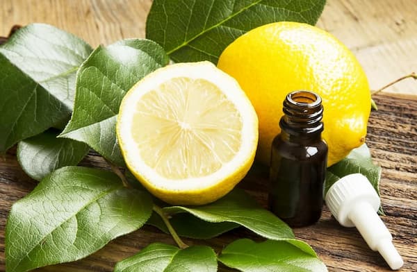 تصویر 2 از قیمت روز اسانس لیمو ترش